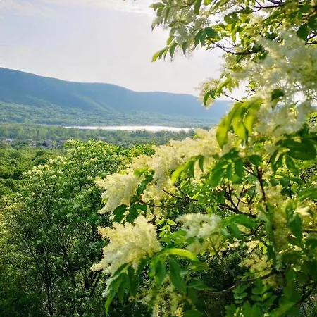 Dvor By Interhome * Tribalj (Primorsko-Goranska)