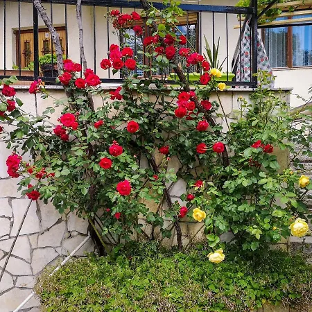 Dvor By Interhome Tribalj (Primorsko-Goranska)